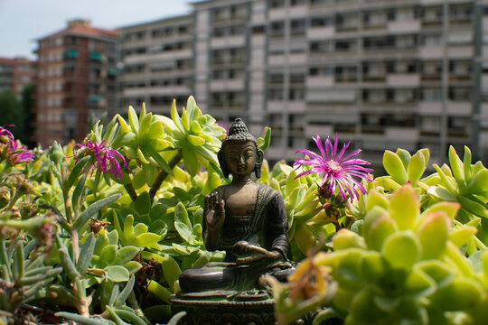 spring, buddha lying among the flowers with the contemporary city in the background, looking for a corner of meditation and energy recovery. yoga city