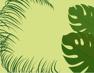Fototapeta na wymiar Nature tropical background - leaves (palm, ficus, monstera) Vector image