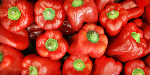 rote Paprika 