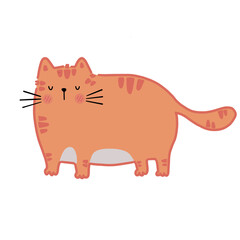 cat