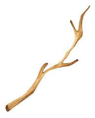 Watercolor painting of Tree dry branches