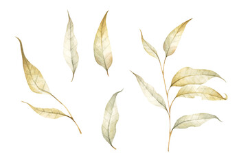 Collection of multicolored fallen autumn leaves. Isolated on white background. Watercolor illustration.