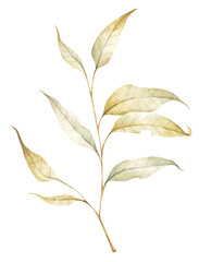 Autumn leaf. Watercolor illustration.