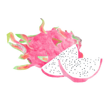 watercolor illustration of whole dragonfruit and slice of dragon fruit isolated on a white background - tropical fruit