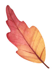 Autumn leaf. Watercolor illustration.