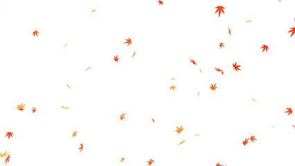 Fototapeta 舞い散るモミジの葉（紅葉）_透過素材 obraz