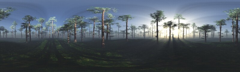  Forest in the morning in a fog in the sun, trees in a haze of light, glowing fog among the trees, 3D rendering