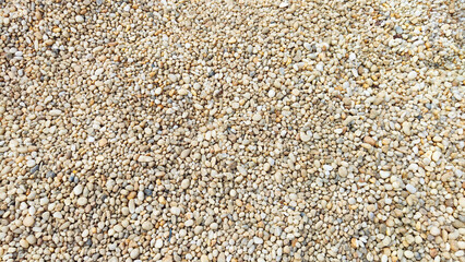 seed background