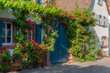 Fototapete bei efototapeten.de bestellen   