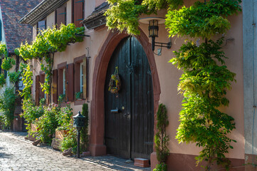 Fototapete bei efototapeten.de bestellen   