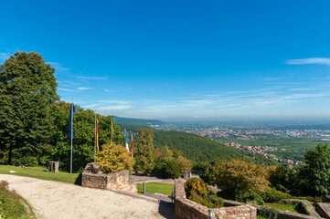 Fototapete bei efototapeten.de bestellen   