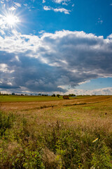 Fototapeta na wymiar landscape with field and sky