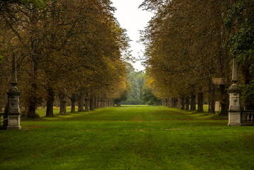 autumn in the park