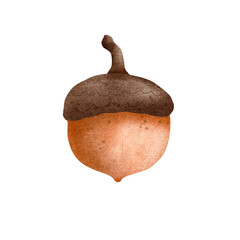 Cute brown acorn illustration