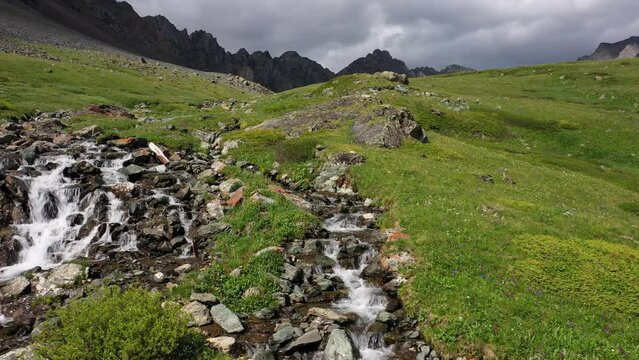 Video of waterfall on Altai river Yarlyamry. The cascade on the stream is surrounded by alpine forb meadows.