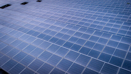 Roof adorned with solar panels harnessing sunlight to generate clean and renewable energy, promoting ecological and environmental sustainability under the blue sky