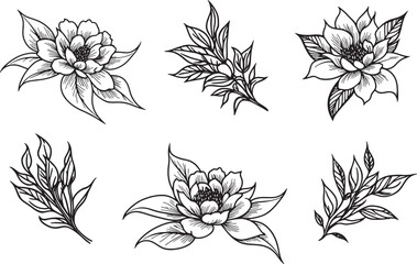 Fototapeta premium Hand Drawing Vector Jasmine Flowers
