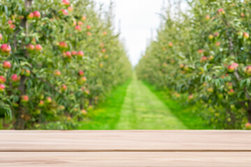 Blurred Spacious Apple Tree Orchard Background with a Clean Wooden Table in the Foreground