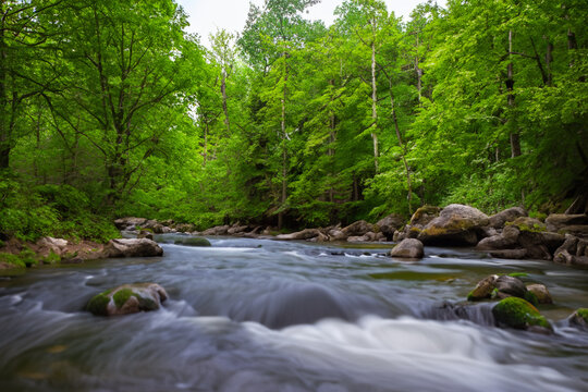 River through the forest- Find solace in the depths of a forest as you sit by a flowing river or stream, embracing the tranquility of nature
