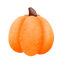 Autumn cute pumpkin. Thanksgiving and Halloween Elements.