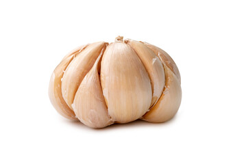 Single fresh white garlic bulb isolated on white background with clipping path, Thai herb is great for healing several severe diseases, heart attact, Hyperlipidemia or Dyslipidemia, close up photo