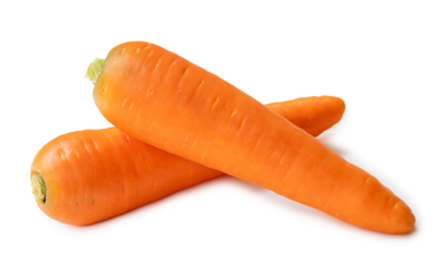 Two fresh orange carrots in stack isolated on white background with clipping path and shadow in png file format Close up of healthy vegetable root