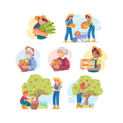 People Characters Harvesting Picking and Gathering Ripe Crops Vector Illustration Set