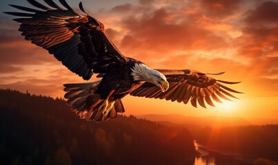 Naklejka na ściany i meble Bald Eagle Flying on Sunset Background. Generative Ai