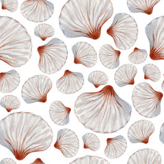 Tropical seamless pattern with white seashells. Hand drawn watercolor illustration.