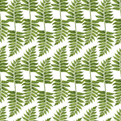 Hand drawn watercolor seamless pattern of green grass, foliage, branches, leaves for spring and summer wedding, birthday, greeting card, menu, banner, border. Seamless pattern for green background.