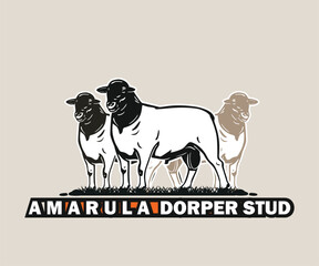 AMARULA DORPER STUD SHEEP LOGO, silhouette of great ram standing vector illustrations