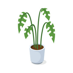 Houseplant in a pot icon in isometric style on a white background