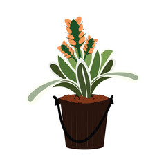 Plant in a pot isolated on white background. Vector illustration.