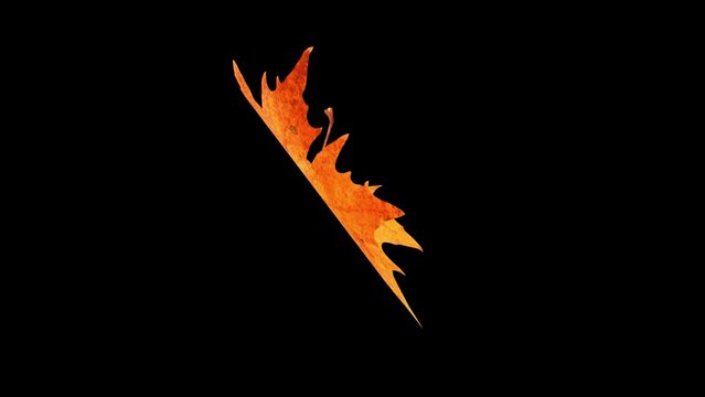 Autumn leaf falls on the green screen