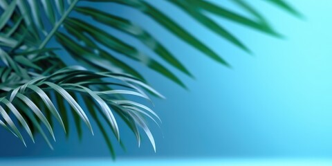 Fototapeta na wymiar Minimal abstract tropical background with palm leave and blurred blue wall Generative AI Illustration