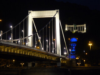 Budapest (Hungary). Night view and detail of the Elisabeth Bridge over the Danube River