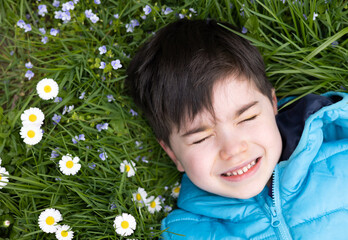 boy kid child collecting flowers daisy white or dandelions on field.adorable preschooler with daisy through lips. spring amazing wallpaper.kid falling down next to puddle.lying on ground in park