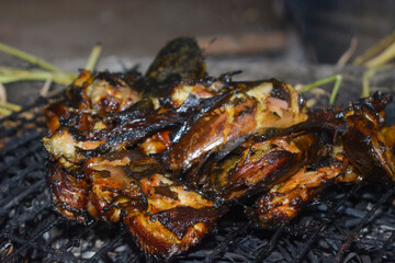 Close up portrait of burning catfish. It looks so delicious.
