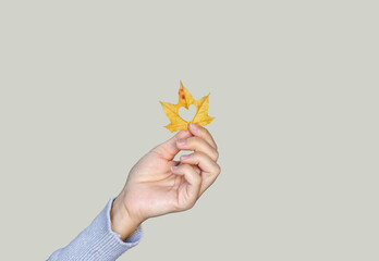 woman teacher isolated with maple autumn fall yellow leaf cover face.girl with glasses frame glued with leaf instead of lens pointing at empty space back to school.heart in middle banner smile female