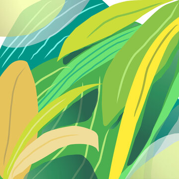 tropical plant leaves background