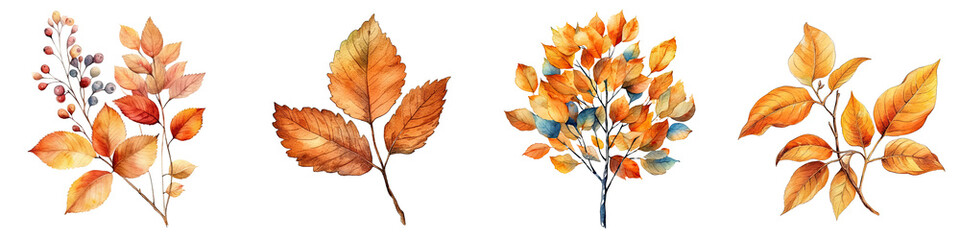 Watercolor illustration autumn leaves transparent background, PNG