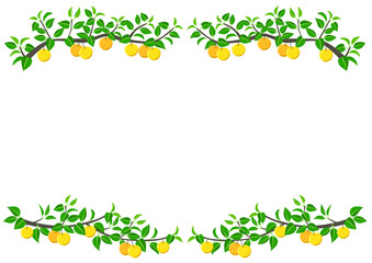 梨のフレーム※Affinity Designer作成svgファイル	

