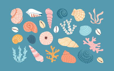 Set of seashells, coral and algae on blue background. Hand drawn colorful illustration. Vector seabed set. Flat cartoon style. Summer vacation collection, tropical beach shells.