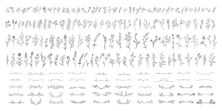 The big bundle of floral hand drawn element