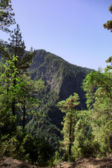 Mountain landscape seen from the Marcos y Corderos trail on La Palma, Canary Islands, Spain