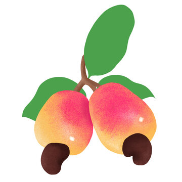 Caju, tropical, estampa, nordeste, fruta, amaz&ocirc;nia, brasilidade, saud&aacute;vel, natureza, alimento, fresco, org&acirc;nico, r&oacute;tulo, embalagem, suco, dieta, ex&oacute;tico