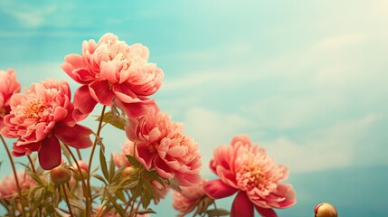 surrendering to the Beauty of Red Peonies in a Blur of Softness. Amazing flower background.