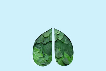 creative image human lungs shape on blue background made from fresh green foliage.