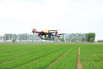 High-resolution photographic images of industrial drones spraying drugs on rice paddies and fields