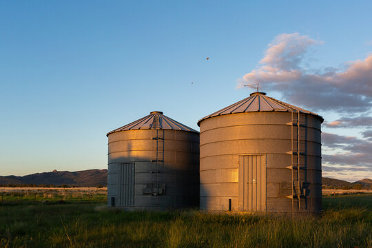 agricultural infrastructure on-farm storage - pair of grain silos together on farm at sunset